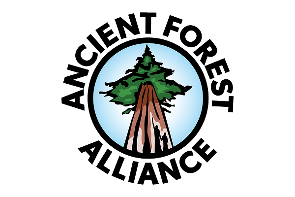 ANCIENT FOREST ALLIANCE