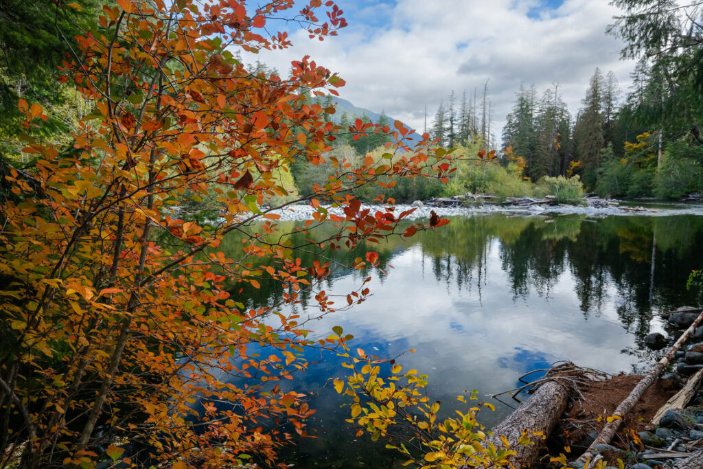 Salmon Parks MMFN