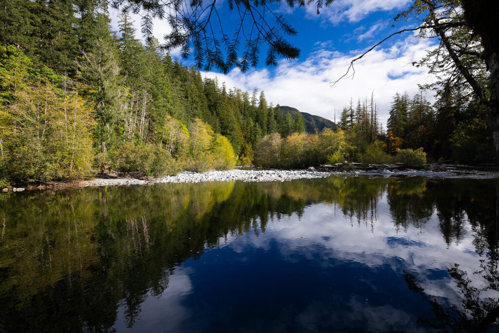 Salmon Parks MMFN Oct 2023 TJ-Watt